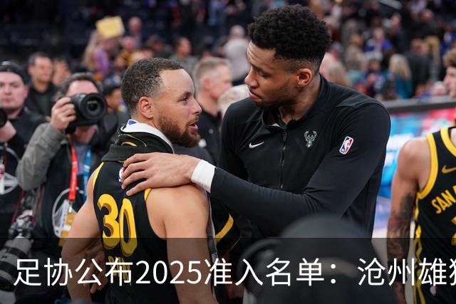 足协公布2025准入名单：沧州雄狮、广州队无缘