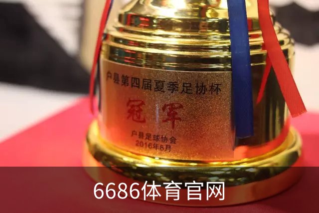 6686体育官网公司简介图片